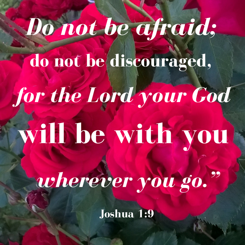 Do not be afraid;